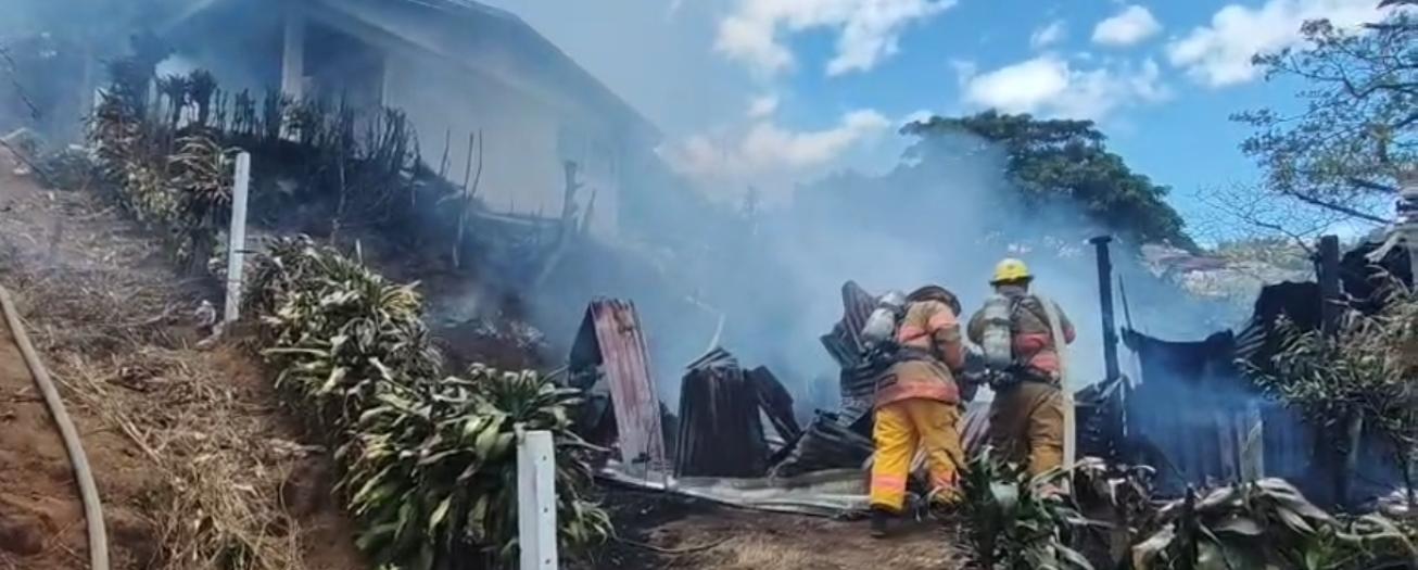 Fuerza Pública de Grecia detiene a sospechoso de provocar incendio