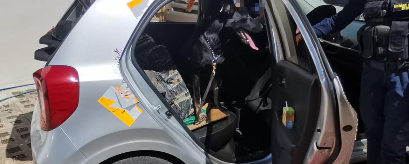 Fuerza Pública detiene a un hombre transportando droga en vehículo